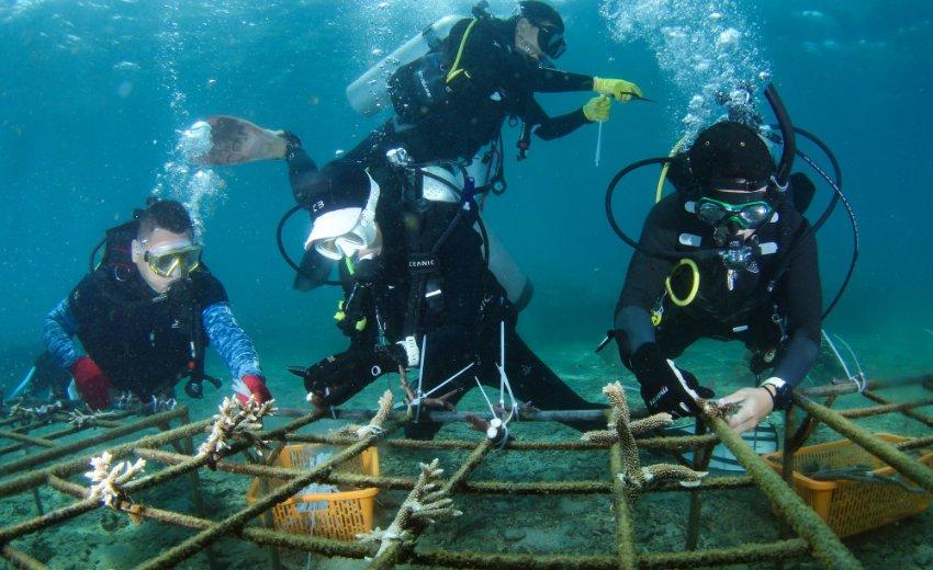 中国与梵蒂冈开展建设性对话改善双边关系